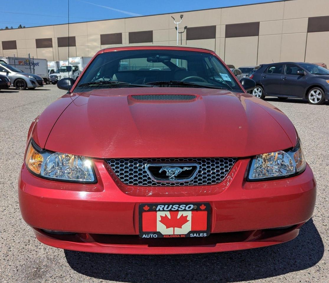 2001 Ford Mustang Convertible, Only 108,000 Kms - Photo #10