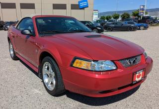 2001 Ford Mustang Convertible, Only 108,000 Kms - Photo #11