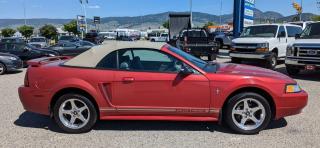 2001 Ford Mustang Convertible, Only 108,000 Kms - Photo #12