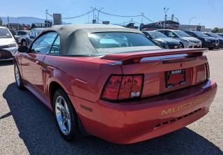 2001 Ford Mustang Convertible, Only 108,000 Kms - Photo #15