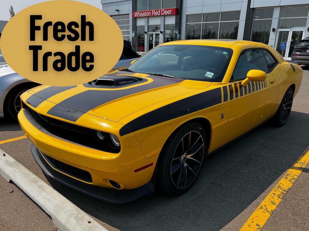 Used 2017 Dodge Challenger R/T 392 | Shaker Hood | Super Bee Interior for sale in Red Deer, AB