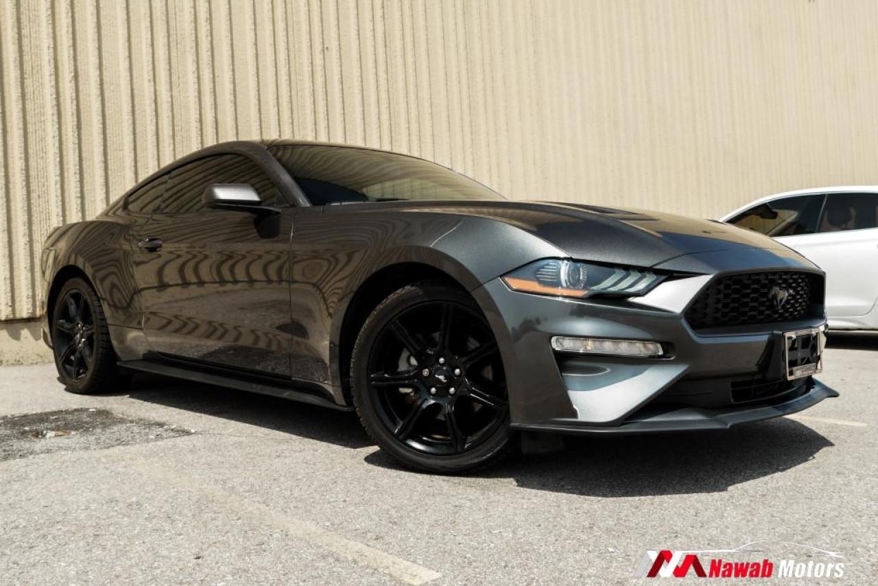 Used 2019 Ford Mustang ECOBOOST FASTBACK|HEATED SEATS|APPLE CARPLAY|ALLOYS| for sale in Brampton, ON