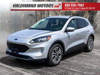Used 2020 Ford Escape SEL for sale in Cayuga, ON