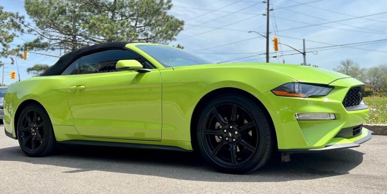 2020 Ford Mustang EcoBoost Premium Convertible Photo2