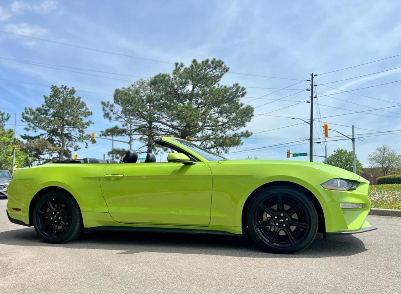 2020 Ford Mustang EcoBoost Premium Convertible Photo4