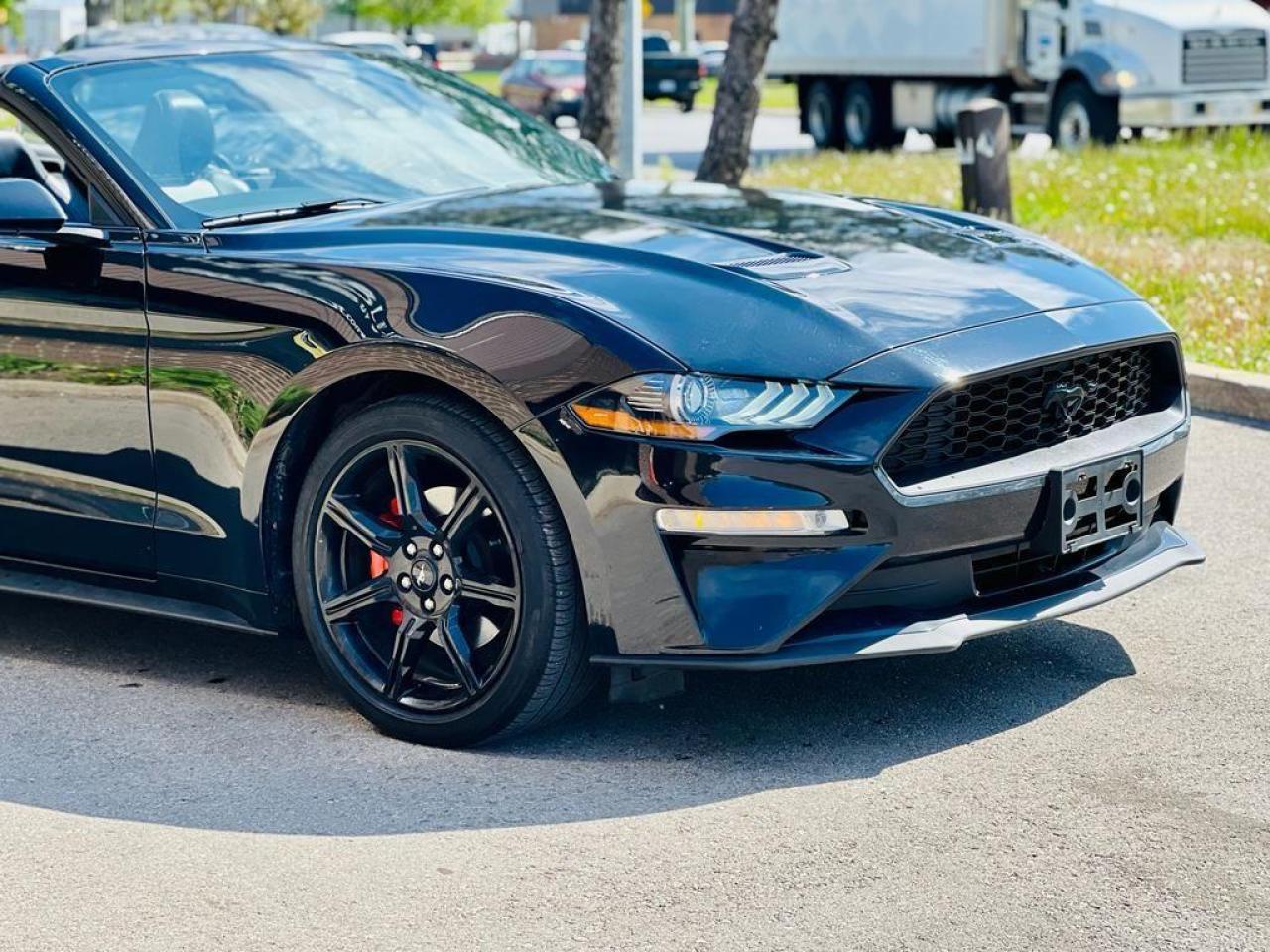 2019 Ford Mustang EcoBoost Premium Convertible Photo4