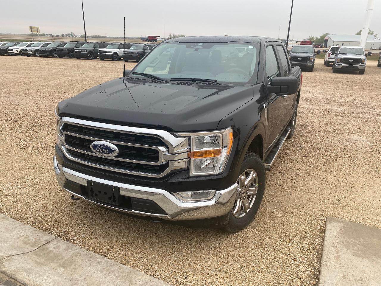 2023 Ford F-150 XLT 4WD SUPERCREW 5.5' BOX