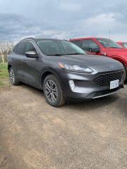 Used 2021 Ford Escape SEL AWD for sale in Thunder Bay, ON
