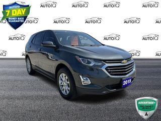 Used 2019 Chevrolet Equinox LS ONE OWNER | NO ACCIDENTS | CLEAN for sale in Tillsonburg, ON