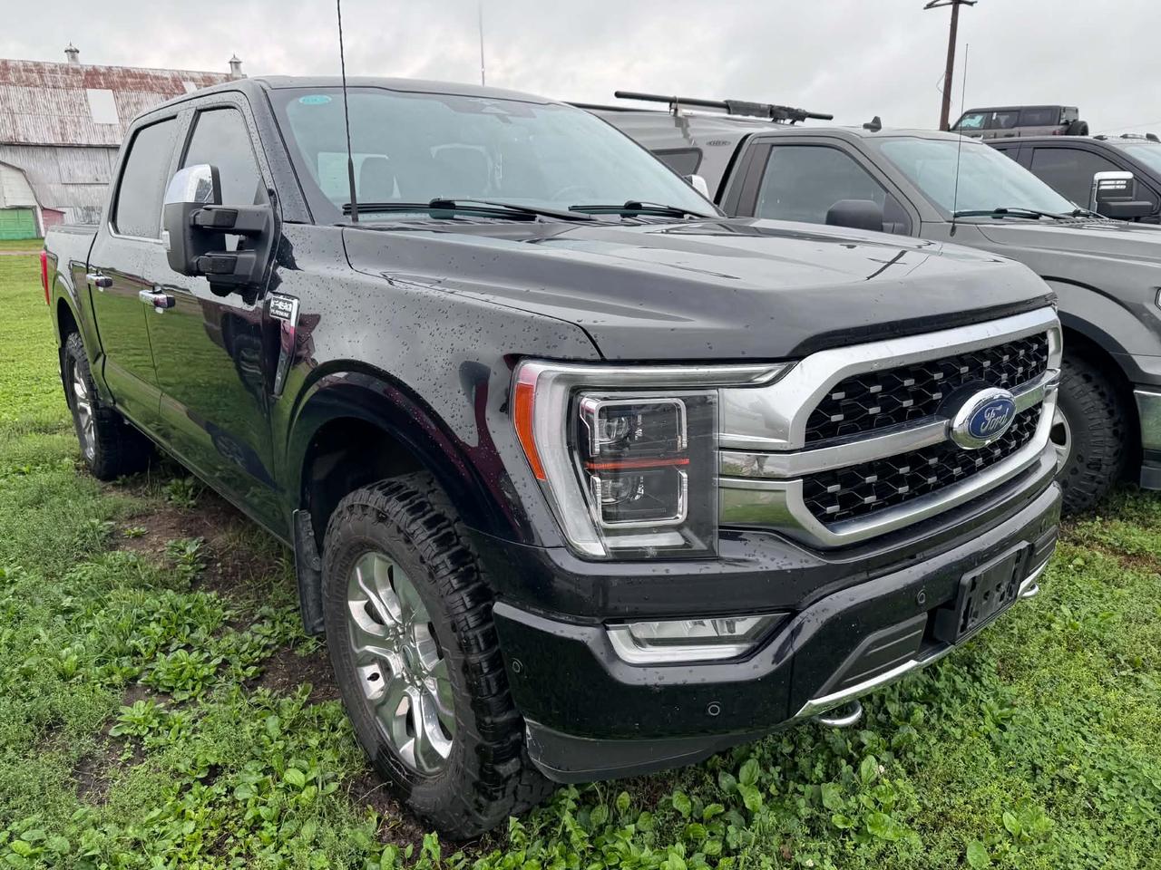 2023 Ford F-150 4x4 Platinum-145 Photo5