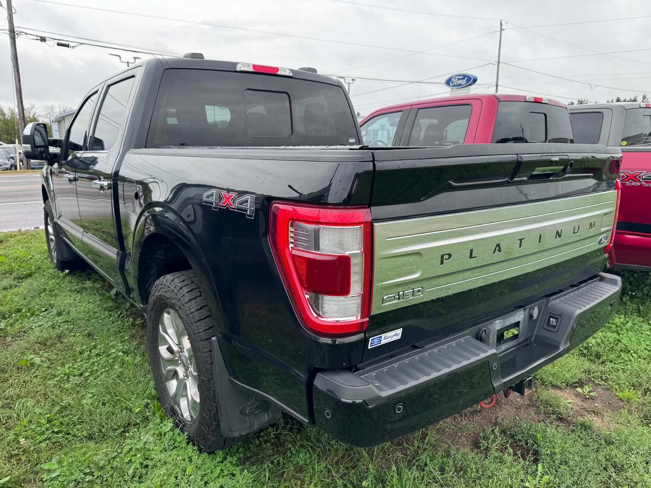 2023 Ford F-150 4x4 Platinum-145 Photo5