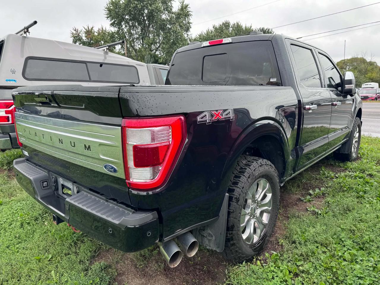 2023 Ford F-150 4x4 Platinum-145 Photo3