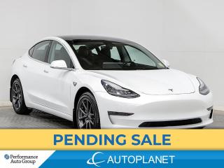 Used 2019 Tesla Model 3 Standard Range Plus, AutoPilot, 402Km Range (est.) for sale in Brampton, ON