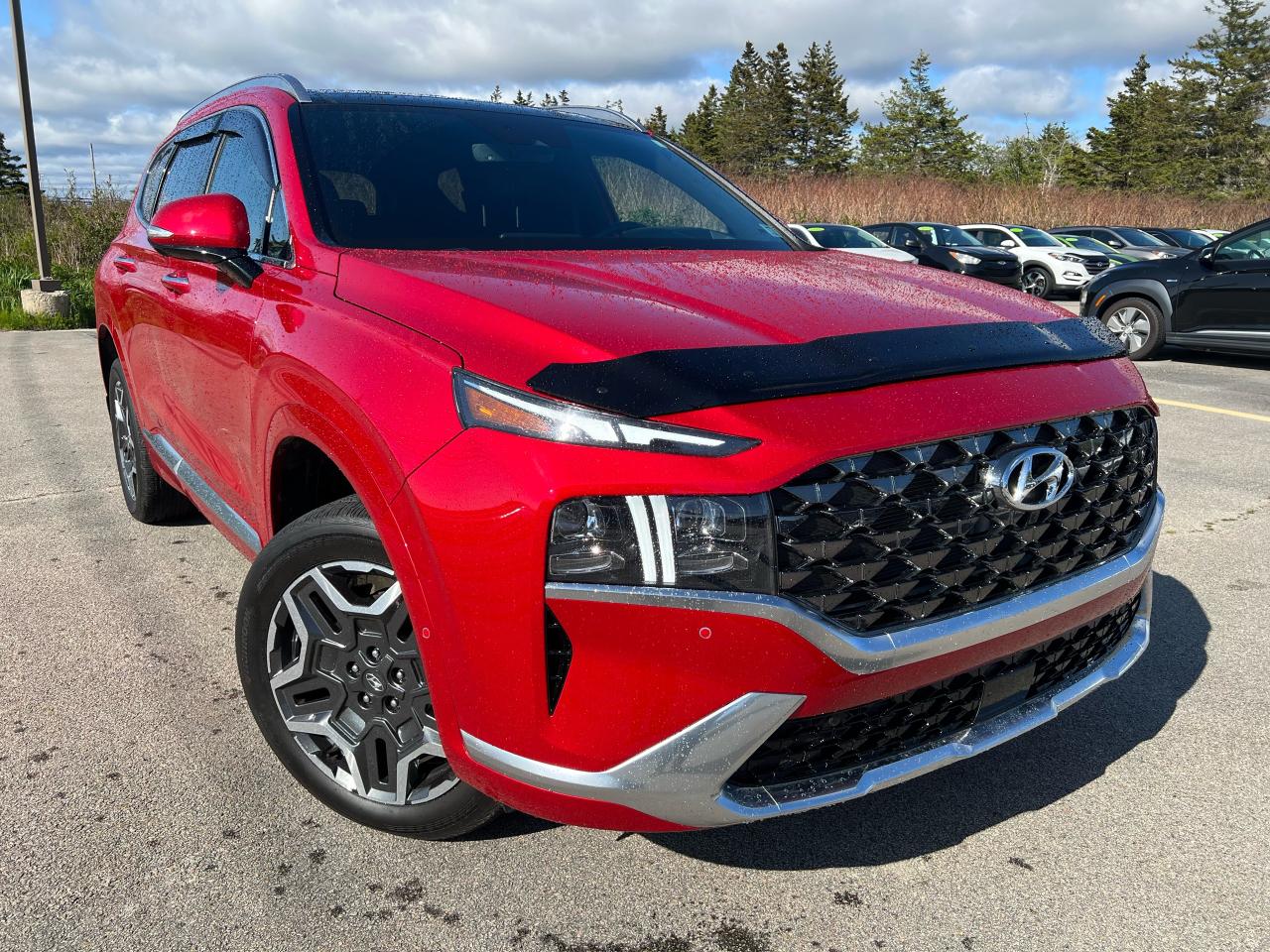 2021 Hyundai Santa Fe Calligraphy Photo1