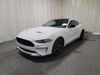 New 2023 Ford Mustang ECOBOOST W/NITE PONY PACKAGE for sale in Regina, SK