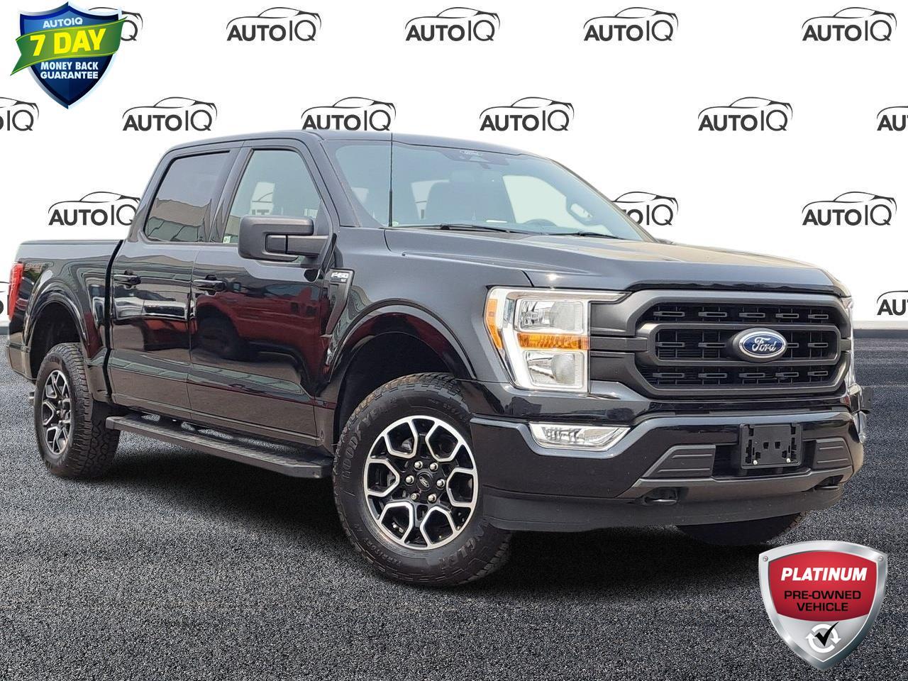 Used 2022 Ford F-150 XLT SPORT 4X4! CREW CAB! for sale in Hamilton, ON