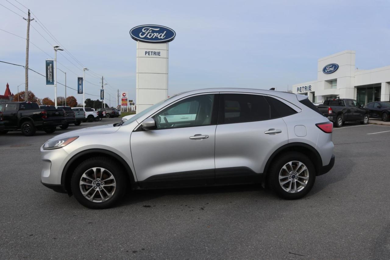 Used 2020 Ford Escape SE for sale in Kingston, ON