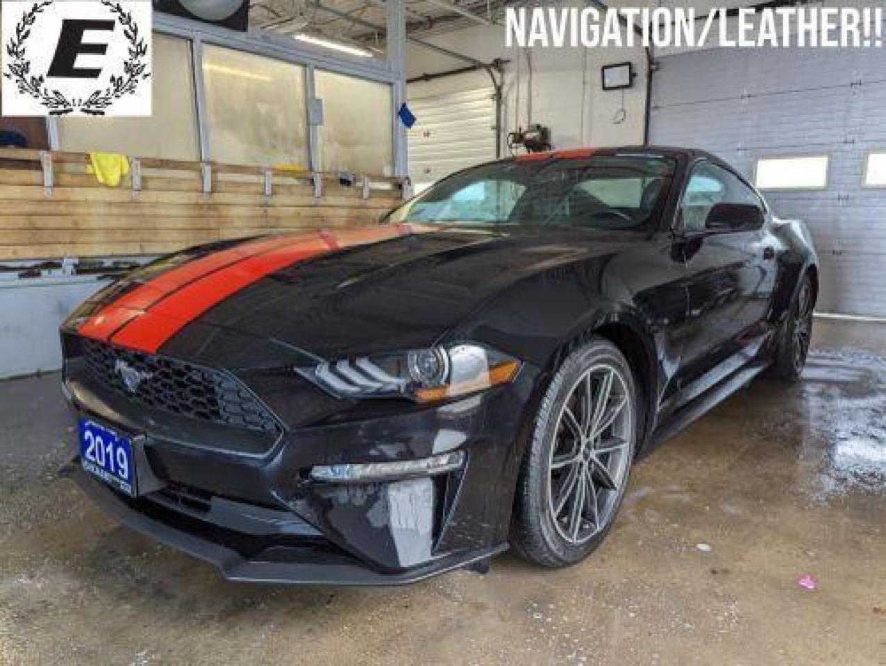 Used 2019 Ford Mustang Premium  NAVIGATION/COOLED LEATHER SEATS!! for sale in Barrie, ON