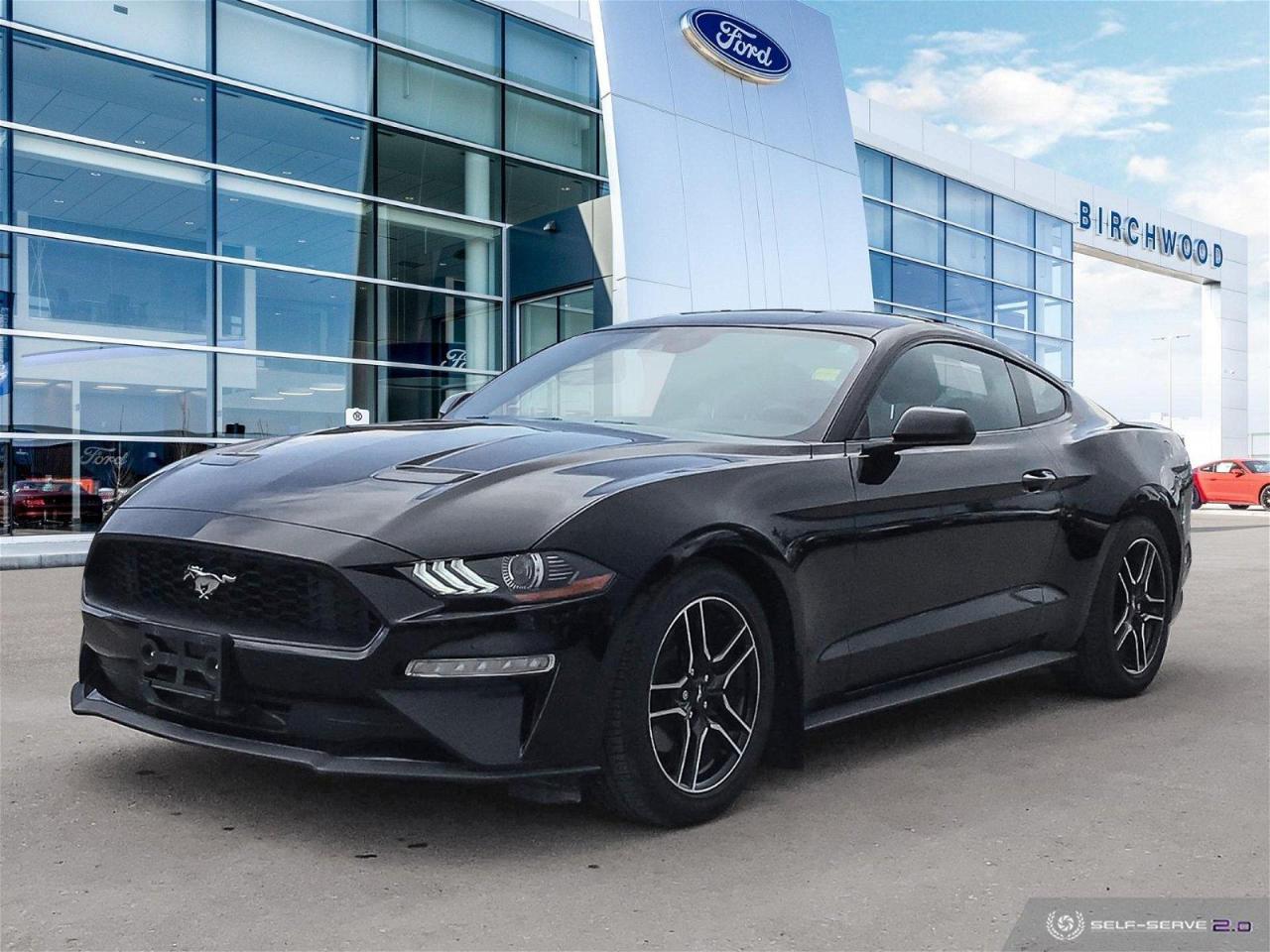 Used 2021 Ford Mustang EcoBoost 10 Speed | Accident Free | Local Vehicle for sale in Winnipeg, MB