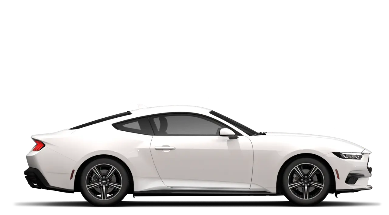 Mustang