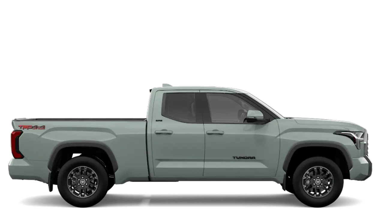 Tundra