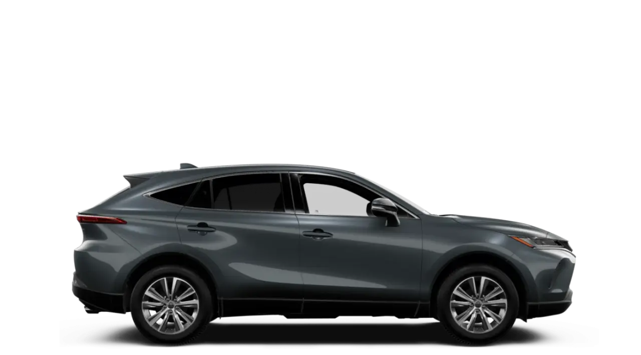 Venza