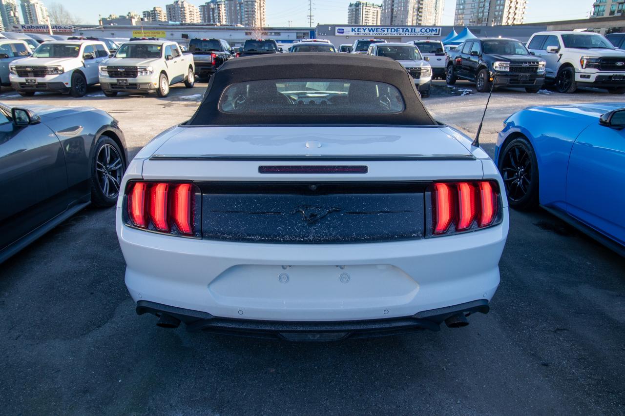 used 2019 Ford Mustang car, priced at $24,995