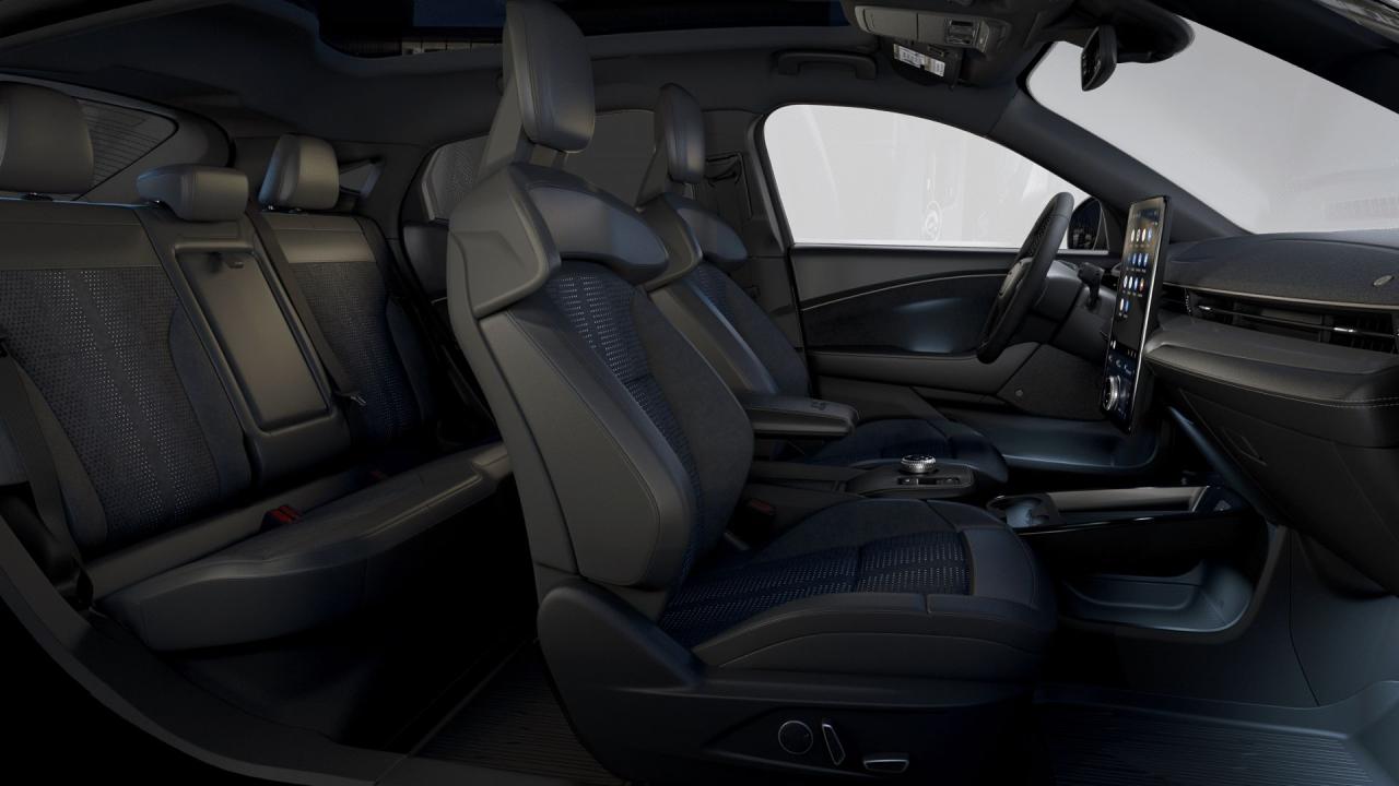 new 2024 Ford Mustang Mach-E car, priced at $76,880