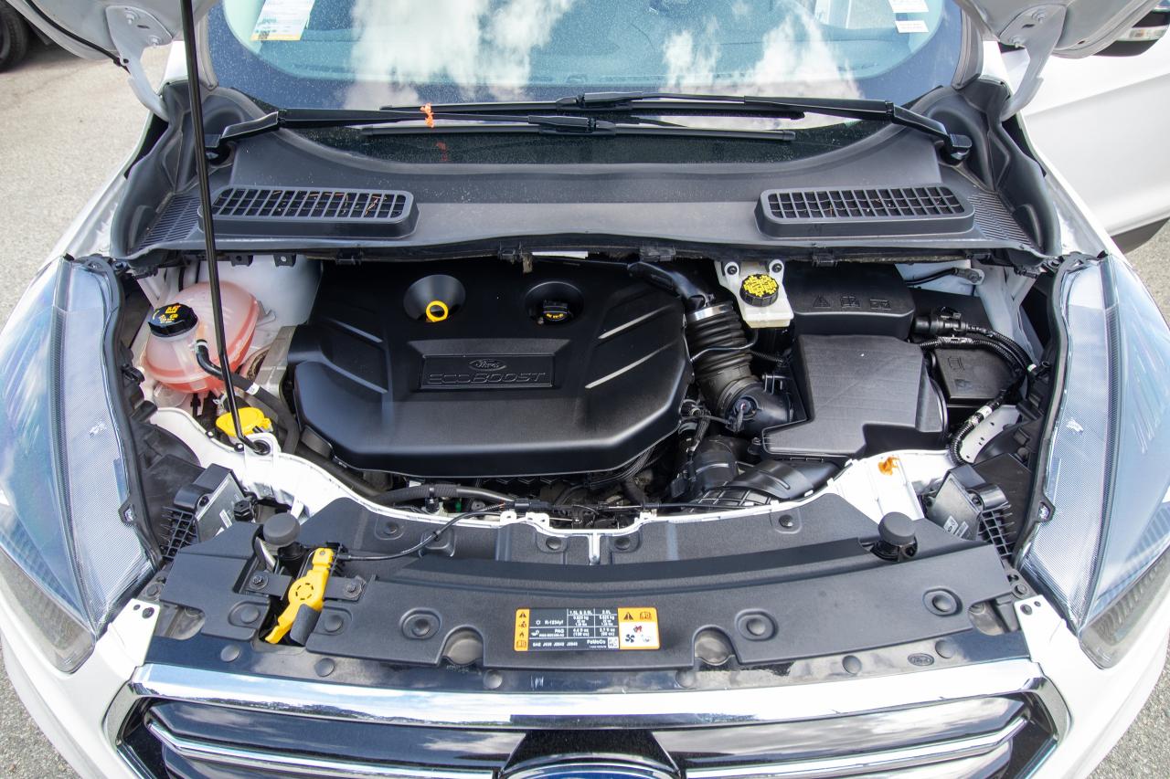 used 2019 Ford Escape car, priced at $24,995