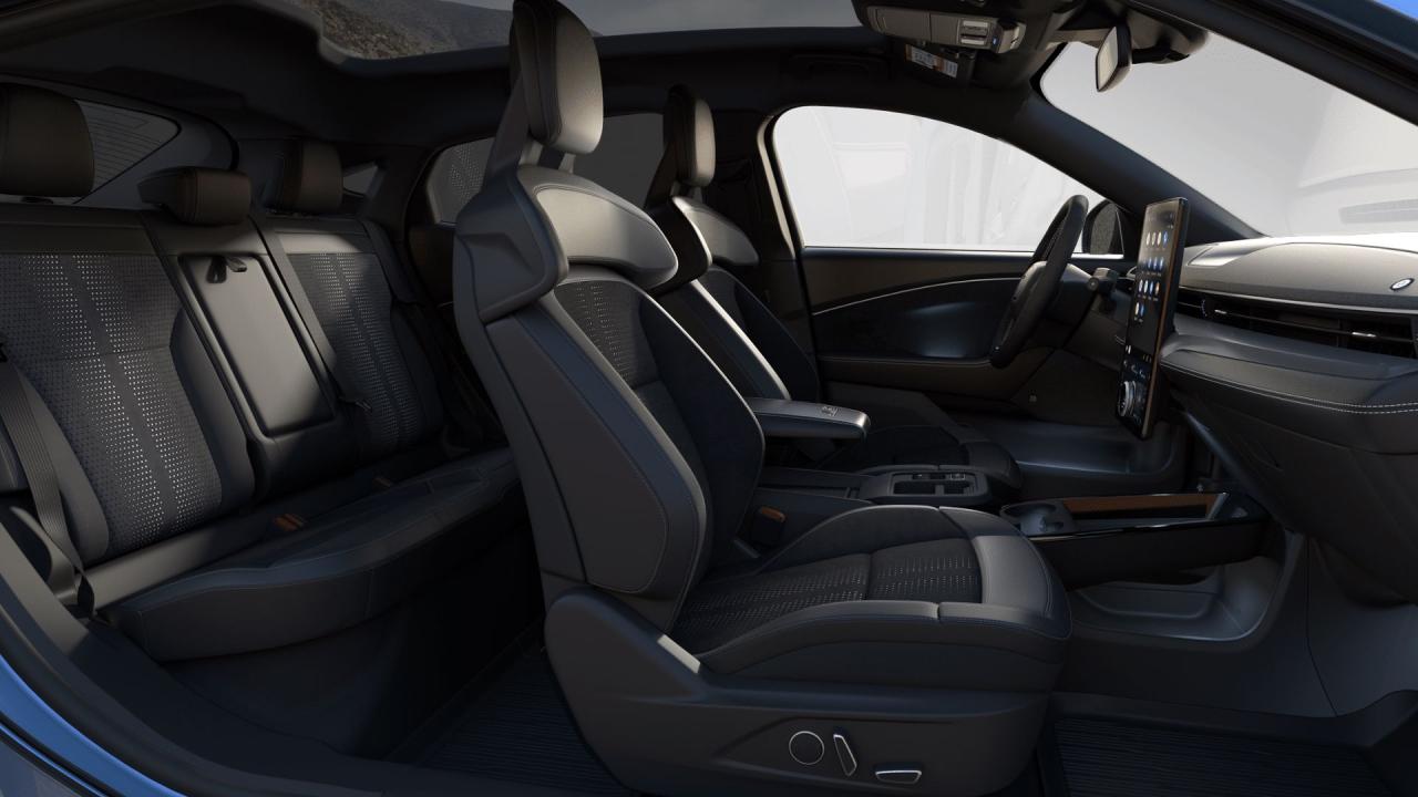 new 2025 Ford Mustang Mach-E car, priced at $80,125