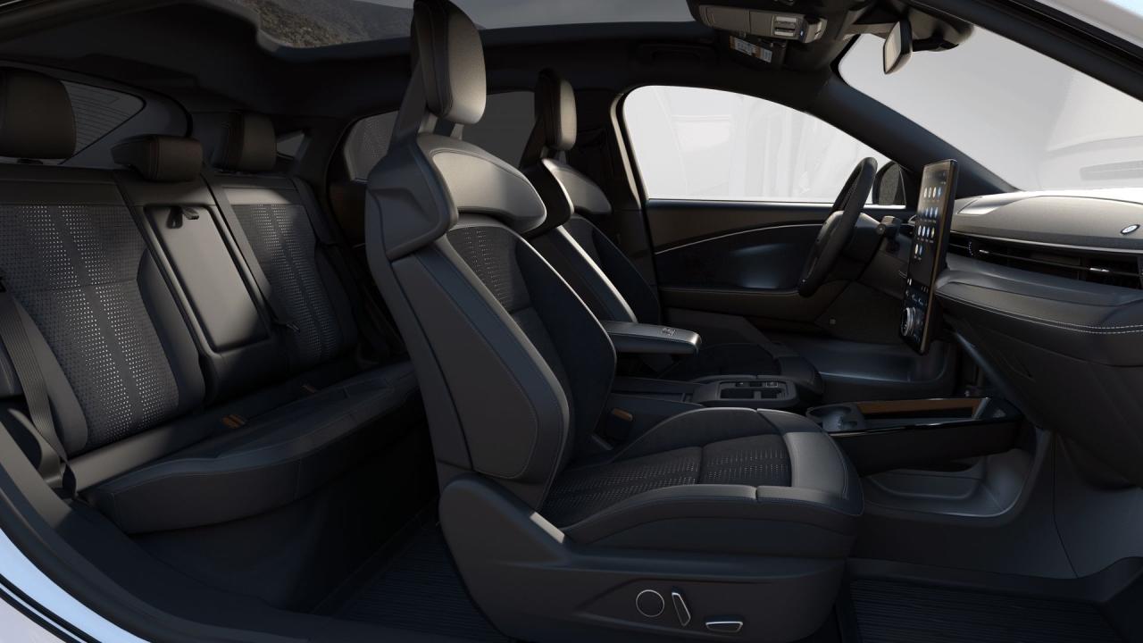 new 2025 Ford Mustang Mach-E car, priced at $79,920