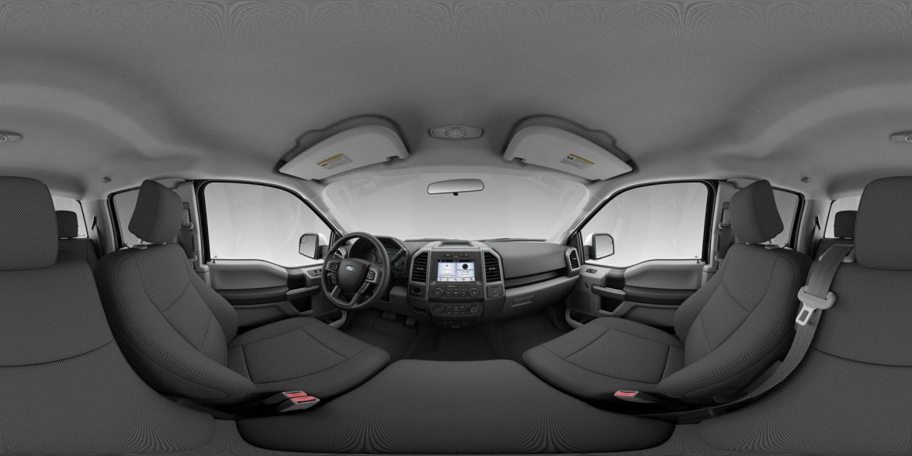 used 2019 Ford F-150 car