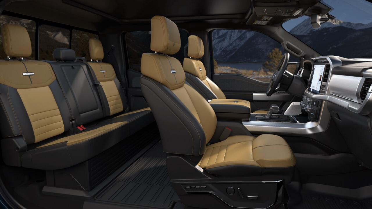 used 2023 Ford F-150 car, priced at $74,995